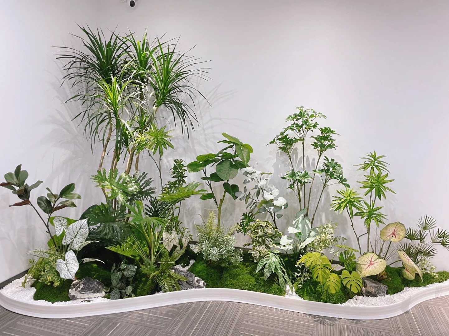 专业花木租摆，宁波北仑的绿色之选